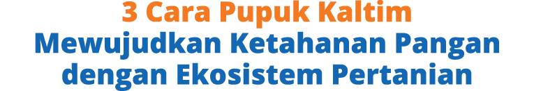3 Cara Pupuk Kaltim Mewujudkan Ketahanan Pangan dengan Ekosistem Pertanian