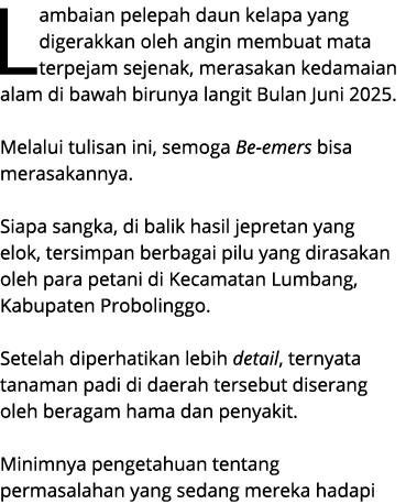 Lambaian pelepah daun kelapa yang digerakkan oleh angin membuat mata terpejam sejenak, merasakan kedamaian alam di ba...