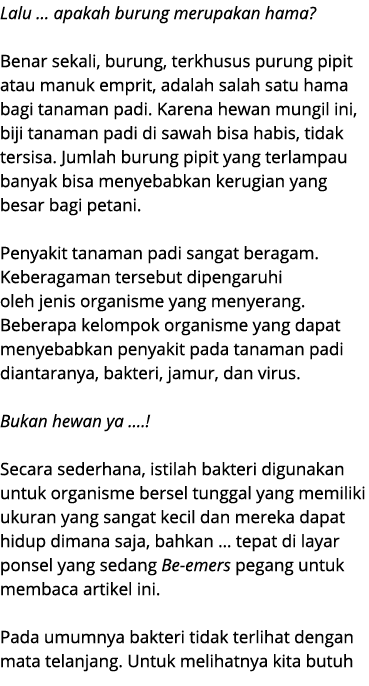 Lalu … apakah burung merupakan hama? Benar sekali, burung, terkhusus purung pipit atau manuk emprit, adalah salah sat...