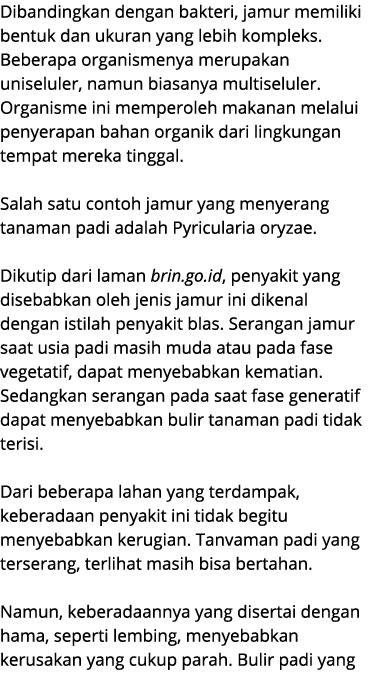 Dibandingkan dengan bakteri, jamur memiliki bentuk dan ukuran yang lebih kompleks. Beberapa organismenya merupakan un...