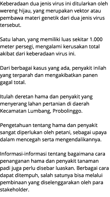 Keberadaan dua jenis virus ini ditularkan oleh wereng hijau, yang merupakan vektor atau pembawa materi genetik dari d...