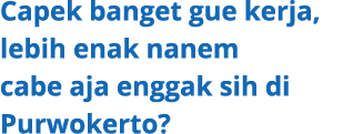 Capek banget gue kerja, lebih enak nanem cabe aja enggak sih di Purwokerto?