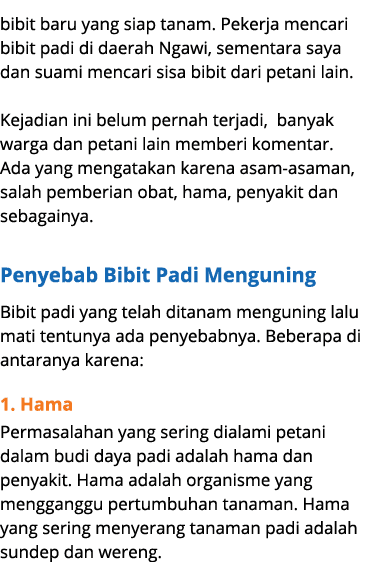 bibit baru yang siap tanam. Pekerja mencari bibit padi di daerah Ngawi, sementara saya dan suami mencari sisa bibit d...