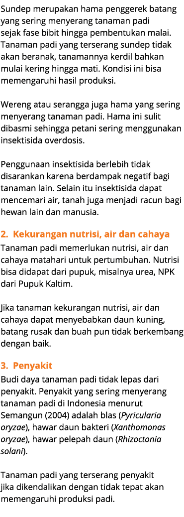 Sundep merupakan hama penggerek batang yang sering menyerang tanaman padi sejak fase bibit hingga pembentukan malai. ...