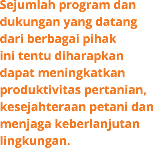Sejumlah program dan dukungan yang datang dari berbagai pihak ini tentu diharapkan dapat meningkatkan produktivitas p...