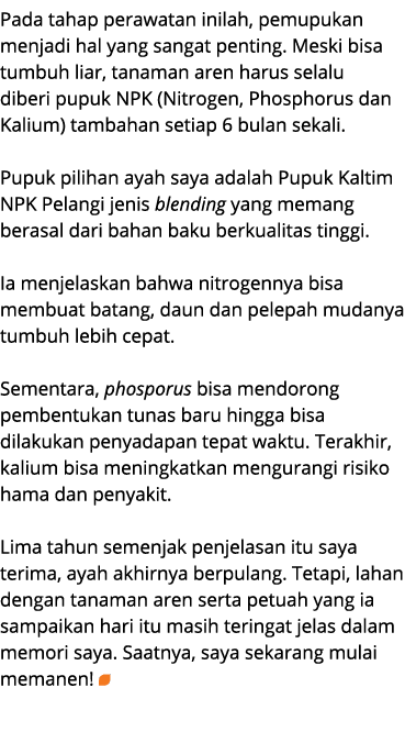Pada tahap perawatan inilah, pemupukan menjadi hal yang sangat penting. Meski bisa tumbuh liar, tanaman aren harus se...