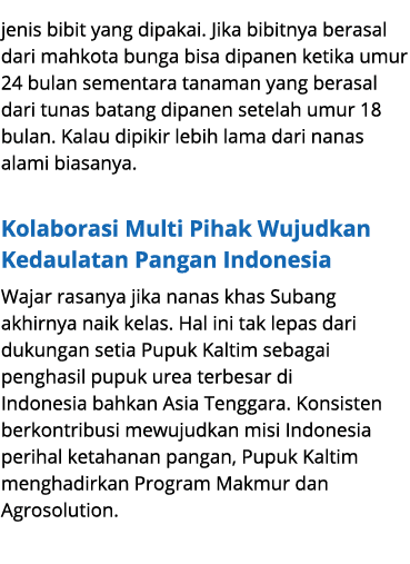 jenis bibit yang dipakai. Jika bibitnya berasal dari mahkota bunga bisa dipanen ketika umur 24 bulan sementara tanama...