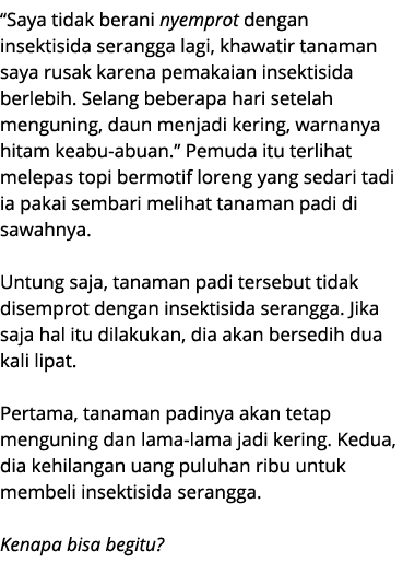“Saya tidak berani nyemprot dengan insektisida serangga lagi, khawatir tanaman saya rusak karena pemakaian insektisid...