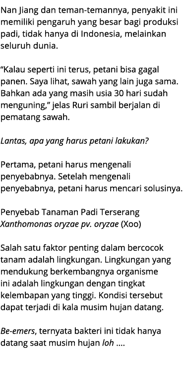 Nan Jiang dan teman temannya, penyakit ini memiliki pengaruh yang besar bagi produksi padi, tidak hanya di Indonesia,...