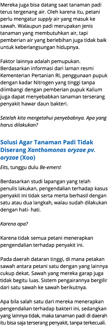 Mereka juga bisa datang saat tanaman padi terus tergenang air. Oleh karena itu, petani perlu mengatur supply air yang...