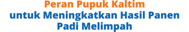 Peran Pupuk Kaltim untuk Meningkatkan Hasil Panen Padi Melimpah