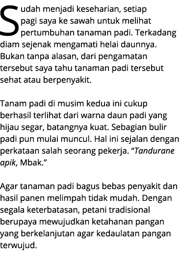 Sudah menjadi keseharian, setiap pagi saya ke sawah untuk melihat pertumbuhan tanaman padi. Terkadang diam sejenak me...